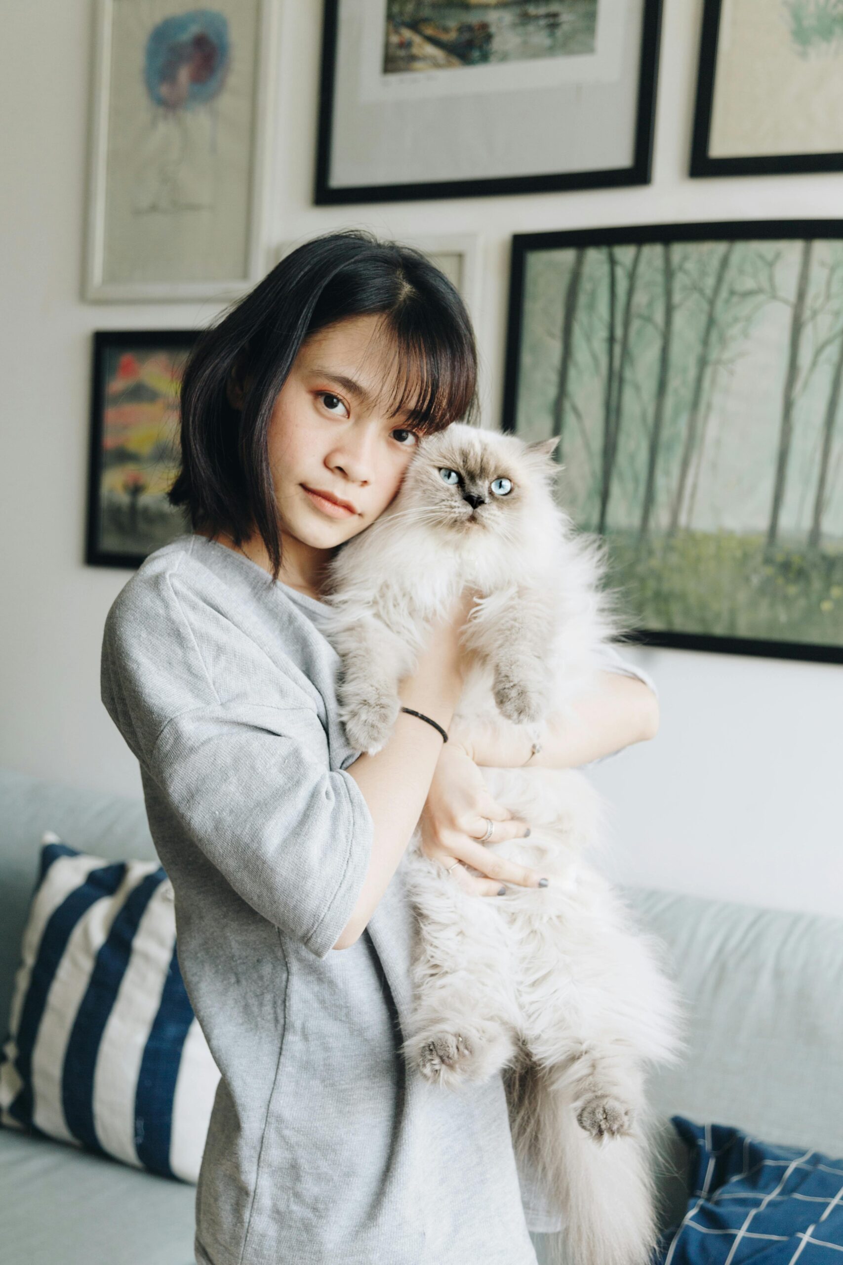 yun ting testimonial ask a pet expert pawsums